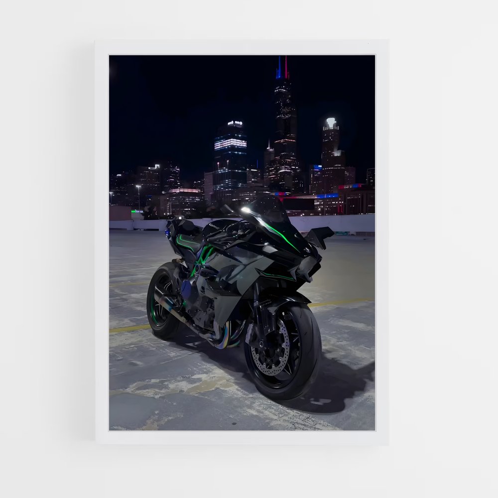 Poster Ninja H2 Énigmatique (vue 3)